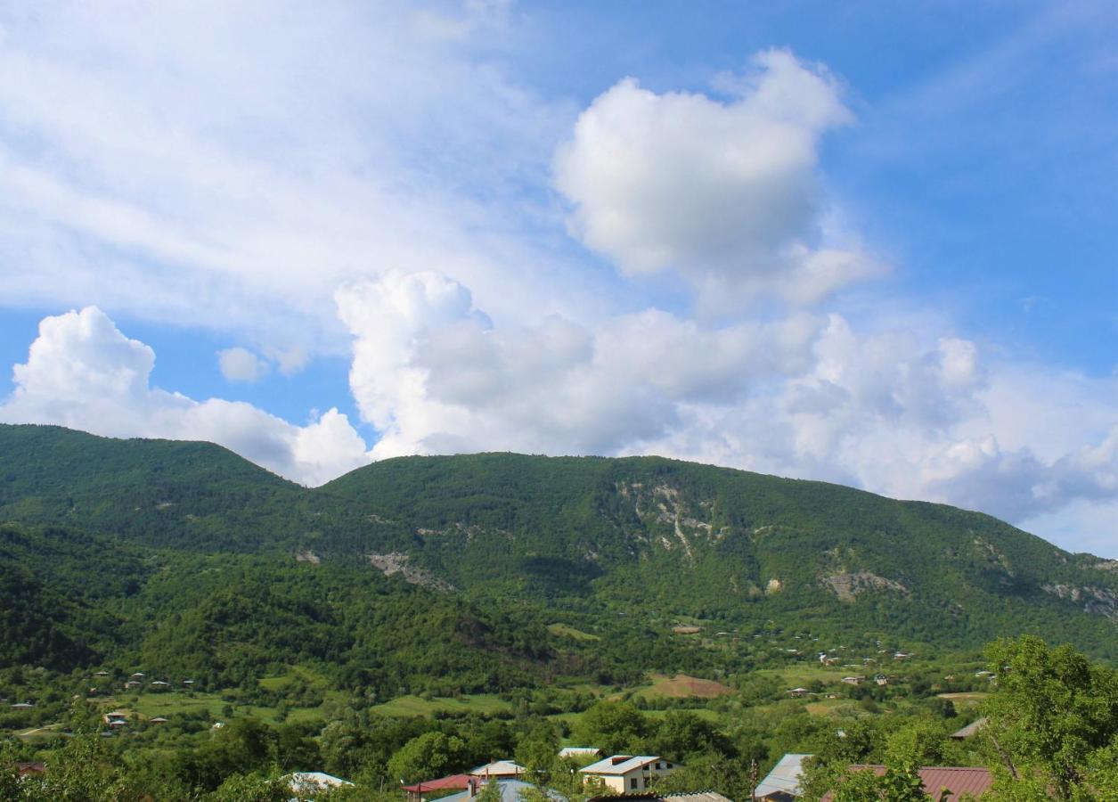 Guest House Racha Ambrolauri Dış mekan fotoğraf
