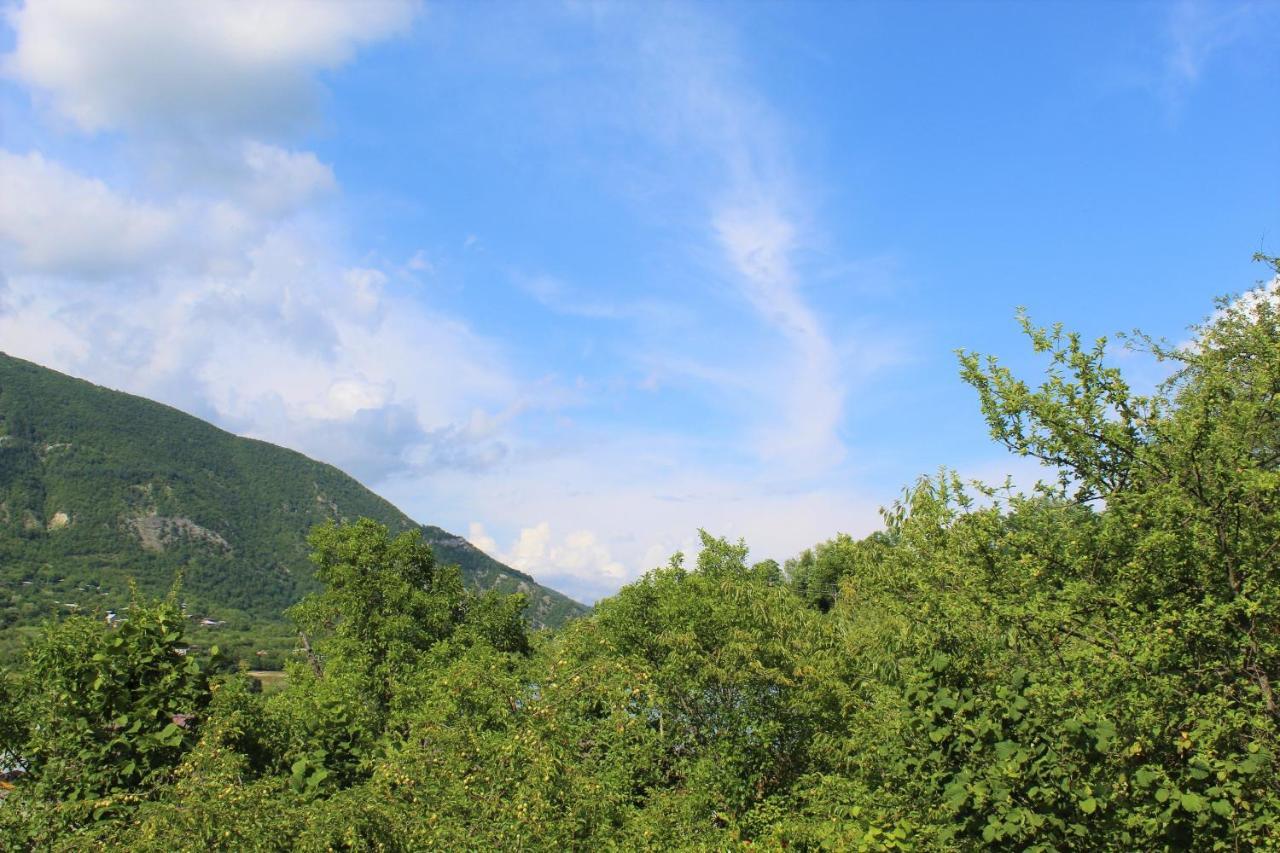 Guest House Racha Ambrolauri Dış mekan fotoğraf