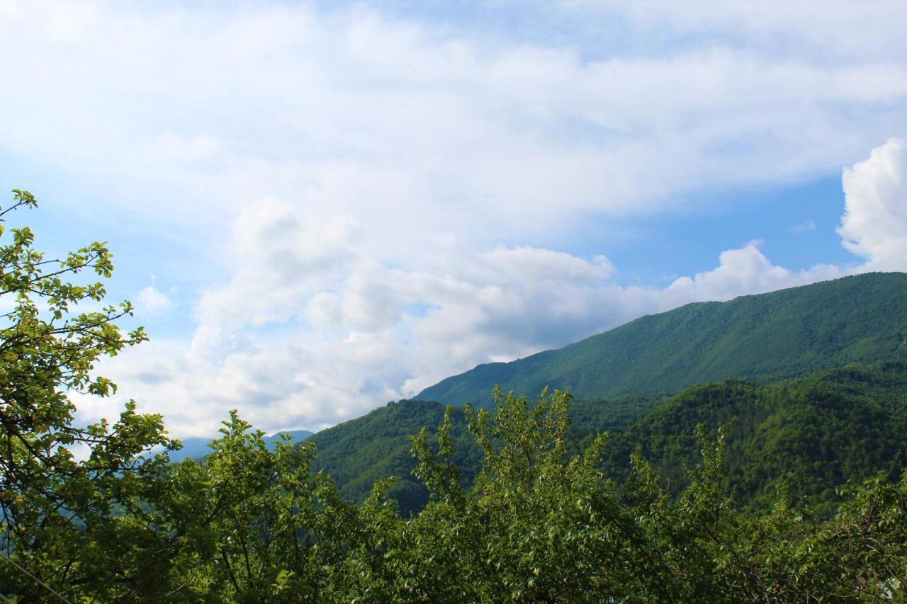 Guest House Racha Ambrolauri Dış mekan fotoğraf