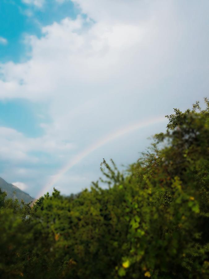 Guest House Racha Ambrolauri Dış mekan fotoğraf